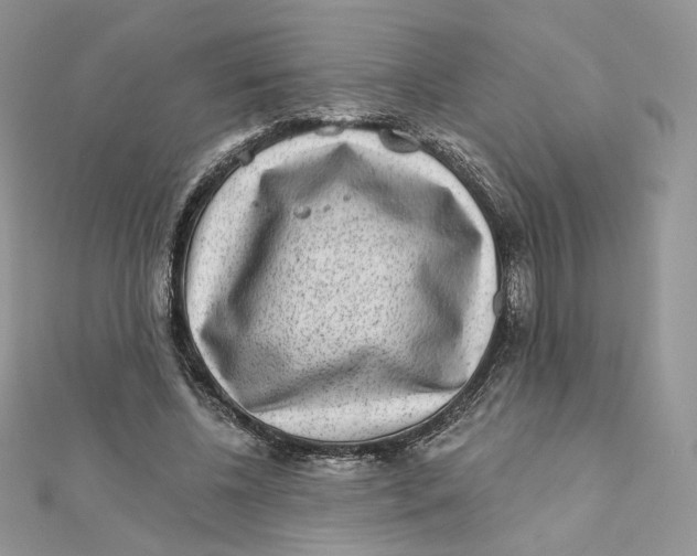 X0000111870540200908131614