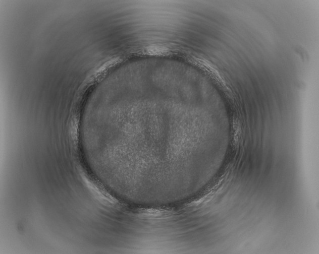 X0000111870542200908131614