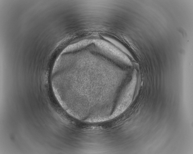 X0000111870543200908131614