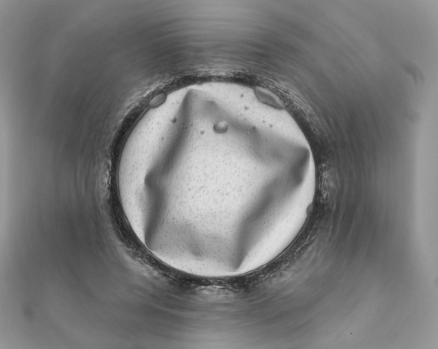 X0000111870544200908131614