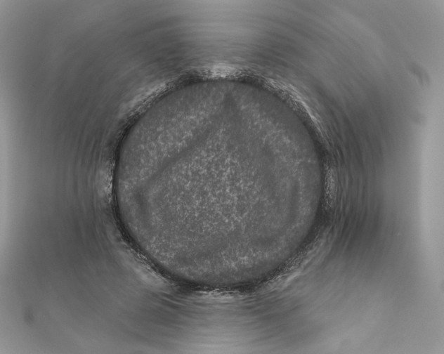 X0000111870545200908131614