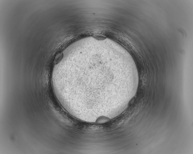 X0000111870546200908131614