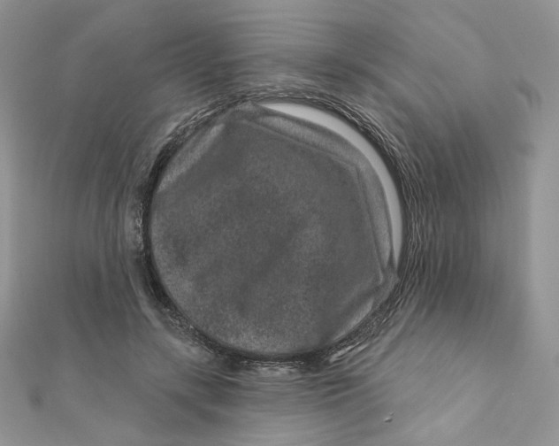 X0000111870547200908131614