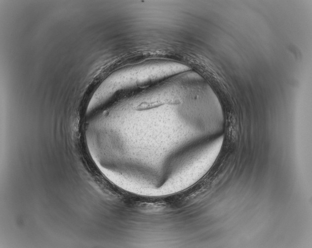 X0000111870548200908131614