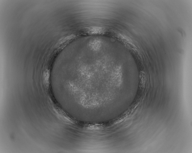 X0000111870550200908131614