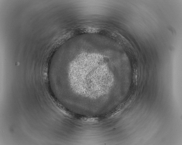 X0000111870553200908131614