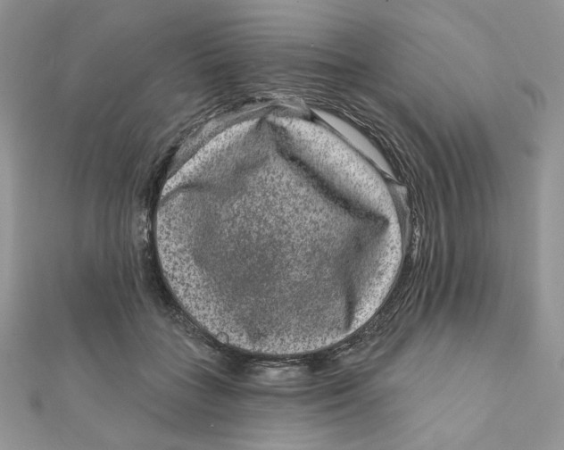 X0000111870555200908131614