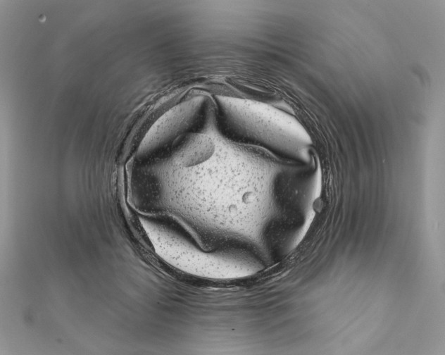 X0000111870556200908131614