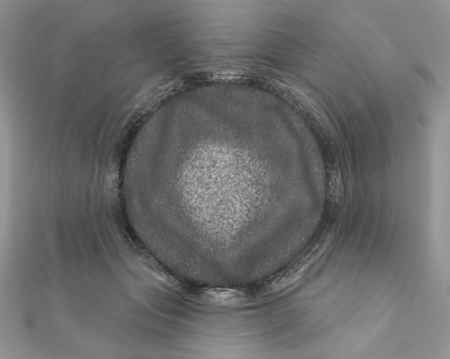 X0000111870557200908131614