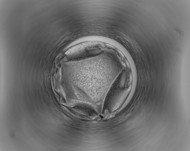 X0000111870558200908131614