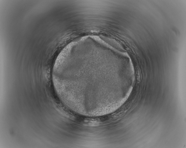 X0000111870559200908131614