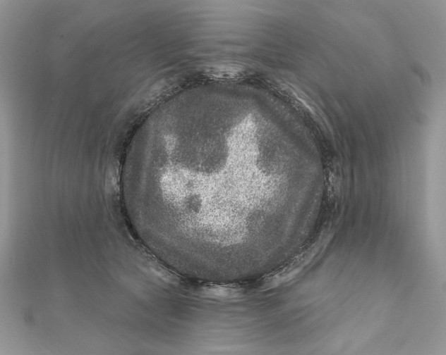 X0000111870561200908131614