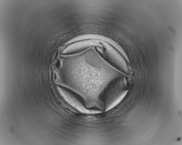 X0000111870562200908131614