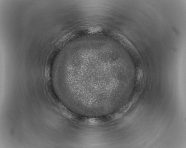 X0000111870565200908131614