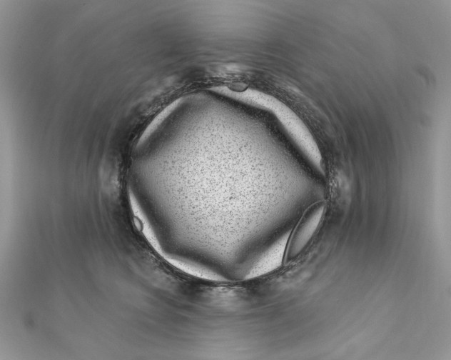 X0000111870566200908131614