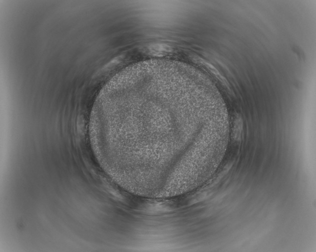 X0000111870569200908131614