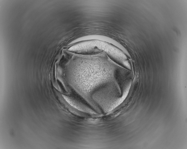 X0000111870570200908131614