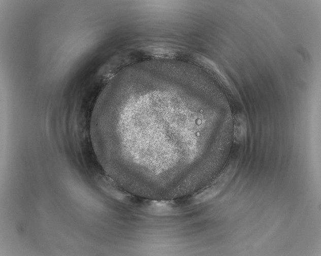 X0000111870573200908131614