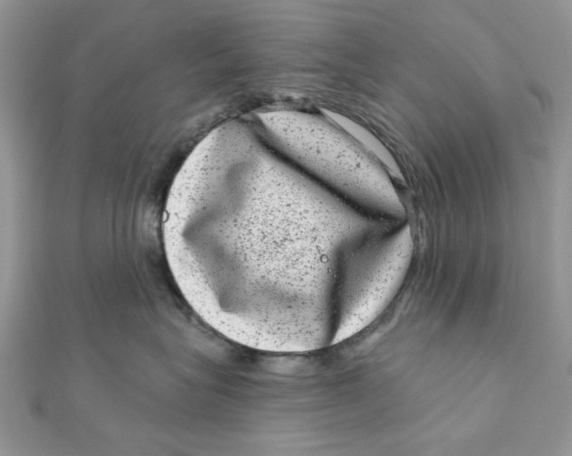 X0000111870575200908131614