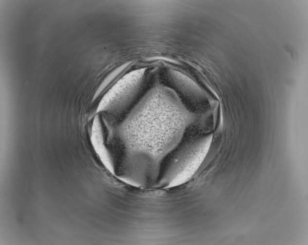 X0000111870576200908131614