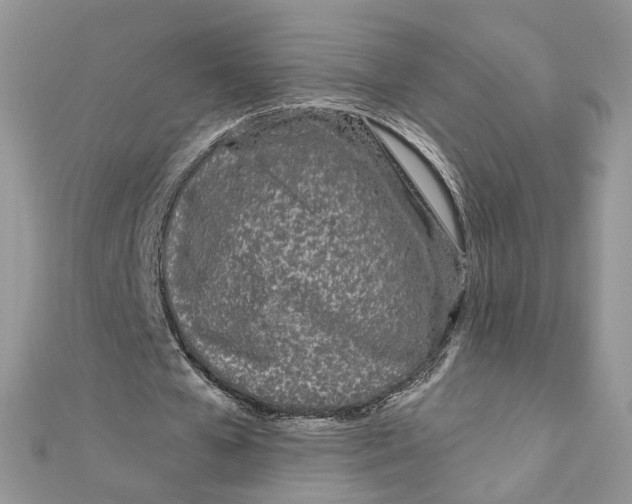 X0000111870577200908131614