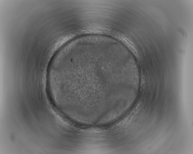 X0000111870578200908131614