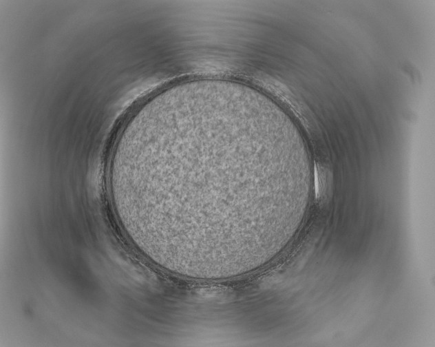 X0000111870579200908131614