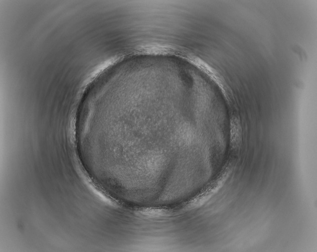 X0000111870581200908131614