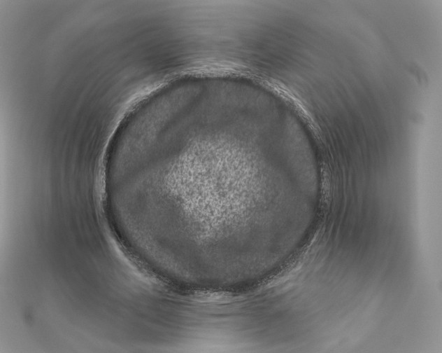 X0000111870582200908131614