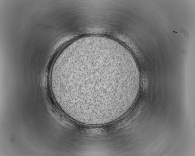 X0000111870583200908131614