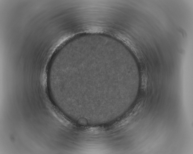 X0000111870584200908131614