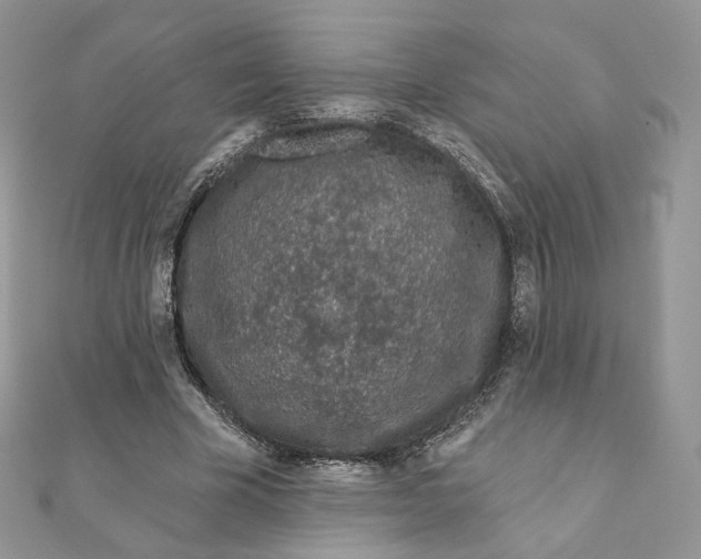 X0000111870585200908131614