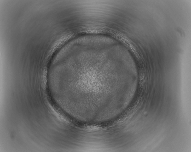 X0000111870586200908131614