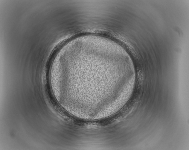 X0000111870587200908131614