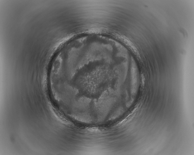 X0000111870588200908131614