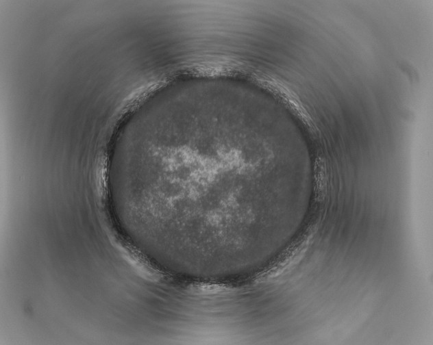 X0000111870590200908131614