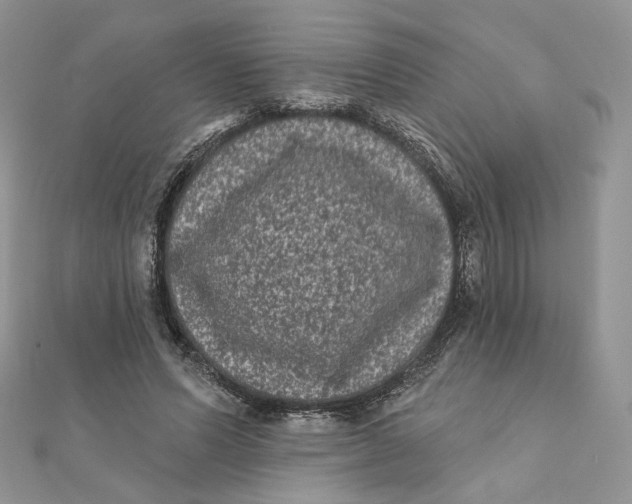 X0000111870591200908131613