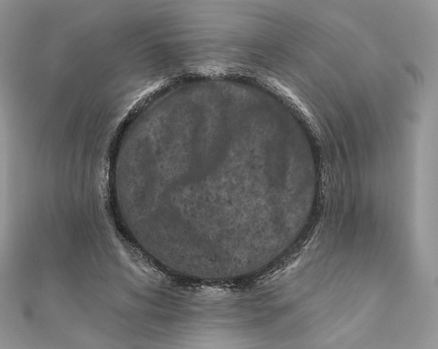 X0000111870592200908131613