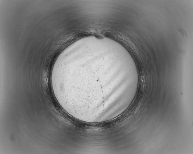 X0000111870593200908131613