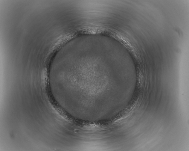 X0000111870594200908131613