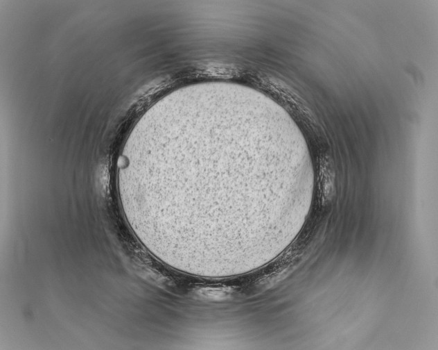 X0000111870595200908131613