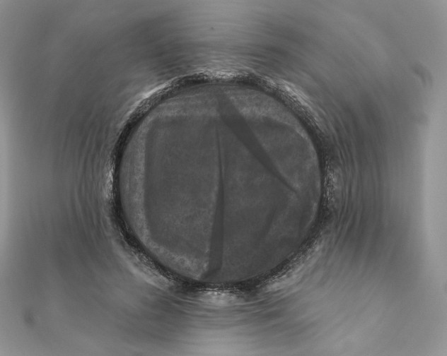 X0000111870596200908131613