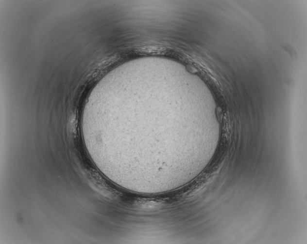 X0000111870597200908131613