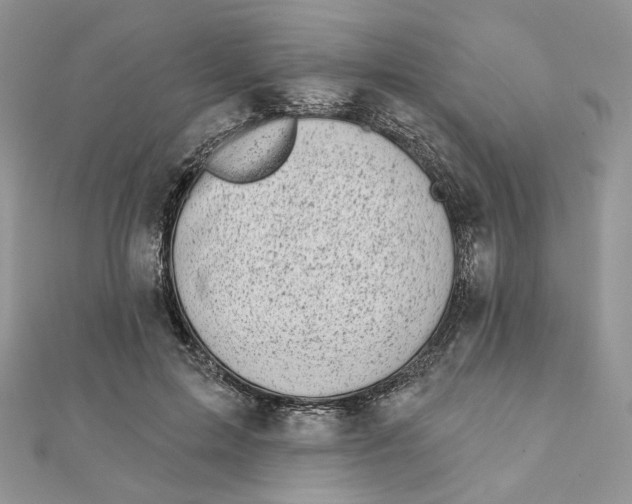 X0000111870599200908131613