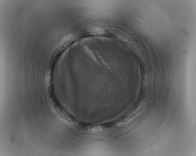 X0000111870600200908131613