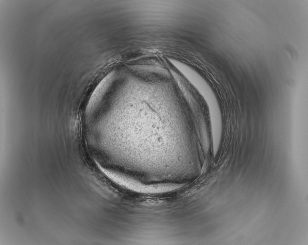 X0000111870601200908131613