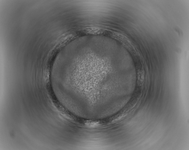 X0000111870602200908131613