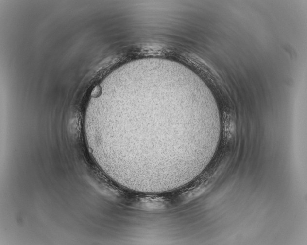 X0000111870603200908131613