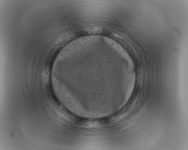 X0000111870604200908131613