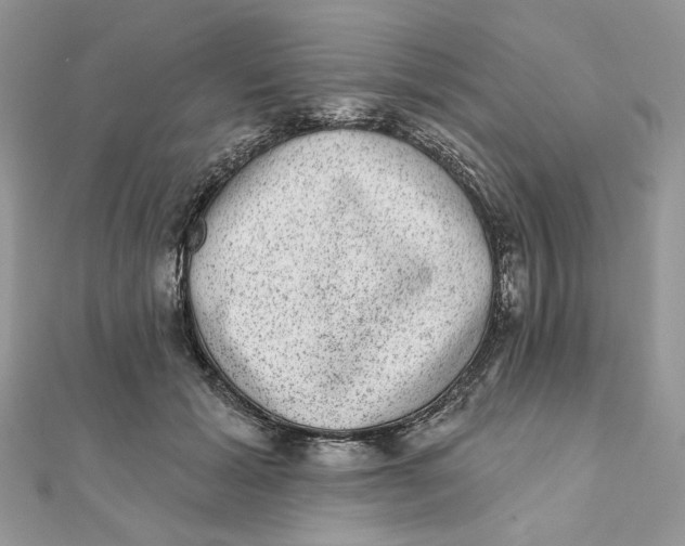 X0000111870605200908131613